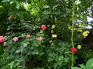 DSCN0566