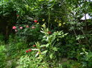 DSCN0567