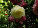 DSCN0569