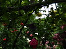 DSCN0570