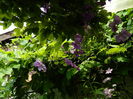 DSCN0571