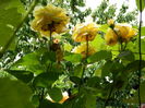 DSCN0572