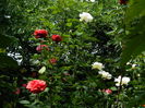DSCN0575