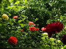 DSCN0576
