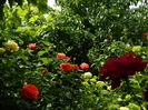 DSCN0578