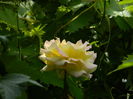DSCN0579