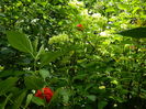 DSCN0580