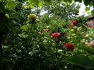 DSCN0581