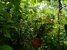 DSCN0582