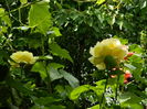 DSCN0586