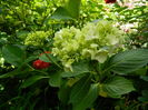 DSCN0589