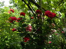 DSCN0590