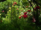 DSCN0591