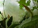DSCN0597