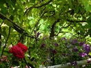 DSCN0598
