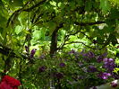DSCN0600