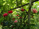 DSCN0604