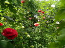 DSCN0607