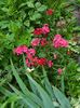 DSCN0633