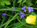 DSCN0639