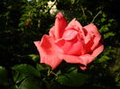 DSCN0644
