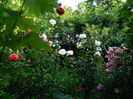 DSCN0652