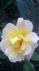 WP_20160620_20_43_22_Pro