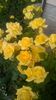 WP_20160618_07_56_53_Pro