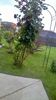 WP_20160619_19_34_45_Pro