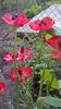 WP_20160619_15_38_24_Pro