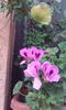 20160619_200553