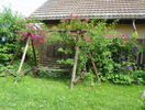 16 iun (44)