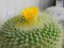 DSCN7270
