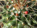 DSCN7242