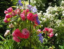 Rosarium Uetersen