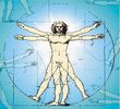 vitruvian