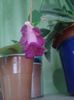 20160602_193141