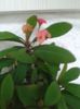 20160602_193337