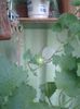 20160602_193357