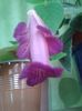 20160605_195825