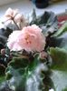 20160606_190855