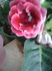 20160612_194858