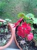 20160612_194955