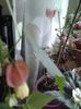 20160612_195108