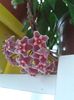 20160614_091728