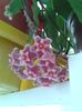20160614_091737