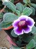 20160614_091747