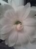 20160614_234552