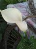 20160618_104815