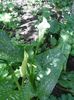 20160618_104850